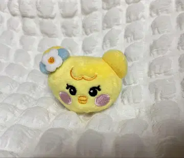 NiziU 리요 파친 밴딩 NIZOO 리오