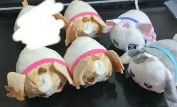 완다풀 프리큐어 프리프리 오테다마