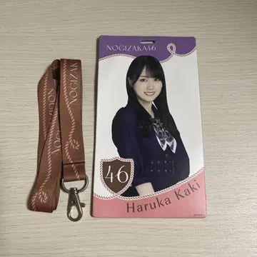 노기자카46 카키 하루카 티켓 홀더 사람은 꿈을 두 번 꾼다