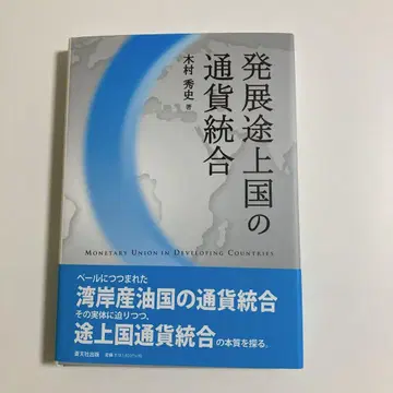 개발도상국의 통화 통합