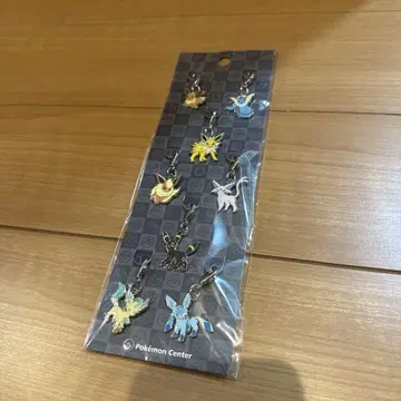 [미개봉 새상품] 포켓몬 이브이 메탈 참