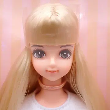 리카짱 캐슬 제니&프렌즈 클럽 사야카 13614-519