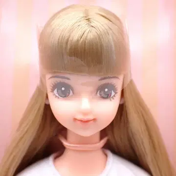리카짱 캐슬 제니&프렌즈 클럽 사야카 13614-772