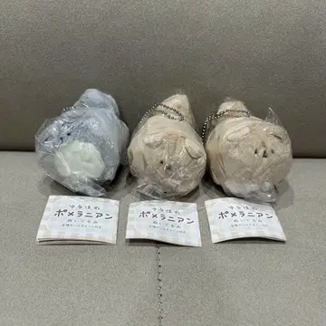 흐물흐물 포메라니안 봉제 인형 포코 폰 3세트 가챠 포메라니안