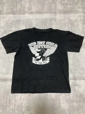 Red Hot Chili Peppers 티셔츠 y2k nirvana