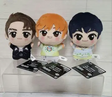 nctdream SD 인형 세트