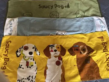 saucy dog 타월 3장 + 러버 밴드