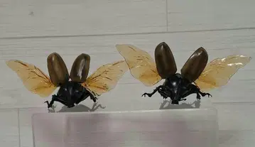가챠폰 고혼쓰노오오가부토