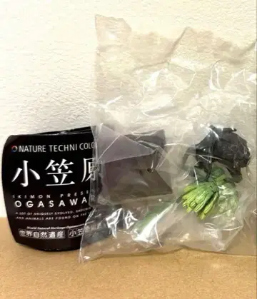 오가사와라큰박쥐 2점 네이처테크니컬러 오가사와라 피규어 가챠