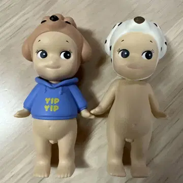 소니엔젤 달마시안 토이푸들