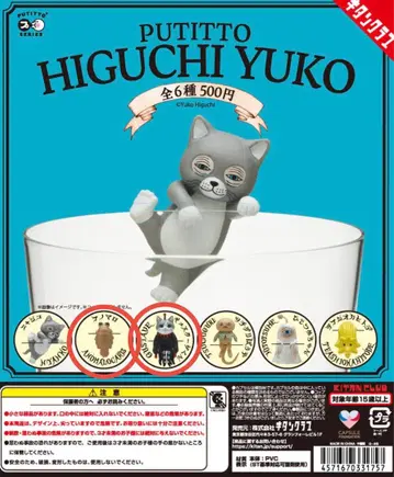 HIGUCHI YUKO 히구치 유코  아노마로