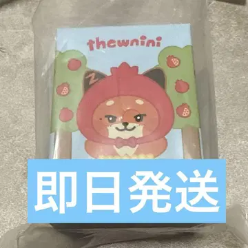 zeroni rinini 튜니니 후르츠 코스튬 피규어