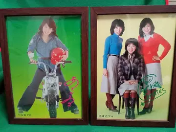 아사다 미요코, 캔디즈 쇼와 레트로 패널