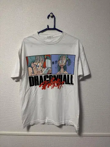 FLAGSTUFF DRAGONBALL -BULMA- AKIRA 로고