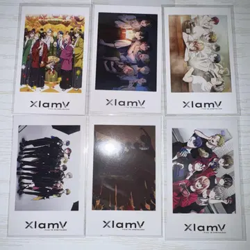 비바렌 xlamv vs ambivalenz 샤타코레 묶음 판매, 단체