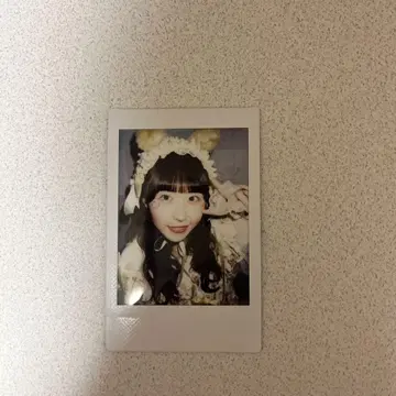 큐루링 해봐 시마무라 우타 폴라로이드