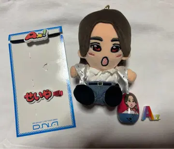 스에자와 세이야 하피누이, 헤어 클립, 마트료시카 세트