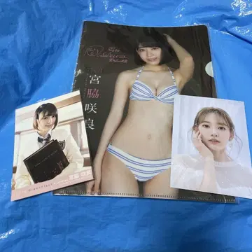 미야와키 사쿠라