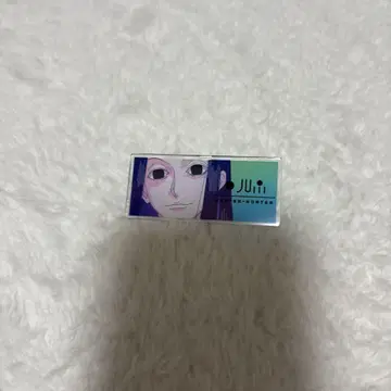 HUNTER HUNTER 이르미=조르딕 캔뱃지