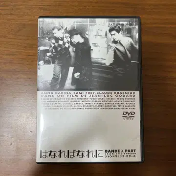 꽃잎이 흩날릴 때 DVD