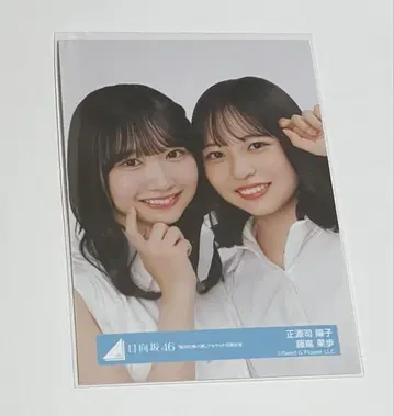 절대적 육감 쇼겐지 요코 후지시마 카호 쇼게카호 요리 브로마이드