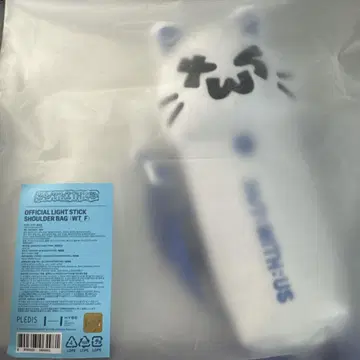 TWS 응원봉 케이스