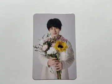 혼시마 스미마사 상하이 사인회 트레이딩 카드 포토 카드