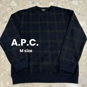 A.P.C. M 남성용 크루넥 긴팔 맨투맨 체크 네이비 그린