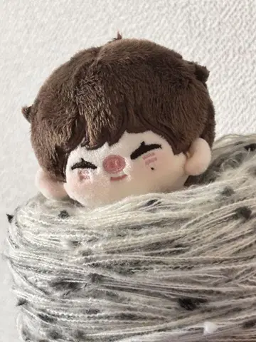 ENHYPEN 선우 봉제 인형