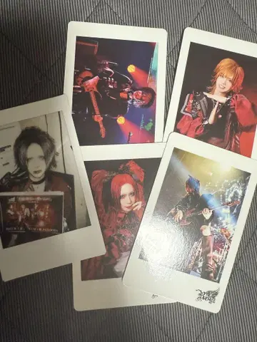 Royz 밴드 사진 폴라로이드 5장 세트