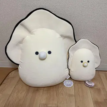 초롱초롱한 눈망울의 일식집 무규누이 생굴 봉제 인형 2품 세트
