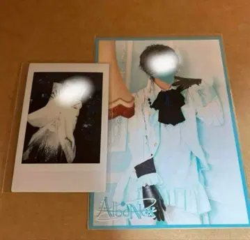 AlbaNox 베어드아드 우토군 폴라로이드 하카마 생탄 D