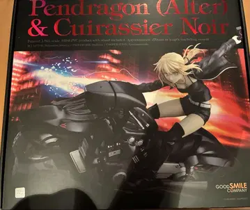 FGO 세이버 알터 & 퀴라셰 느와르 1/8 스케일 피규어