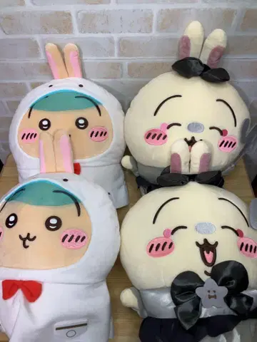 토끼 묶음 판매