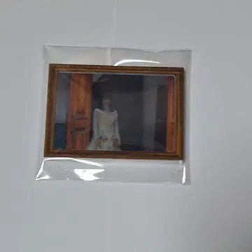 사쿠라자카 모리타 히카루 액자 마그넷 승인 욕구