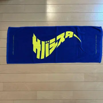 사바시스터 타월