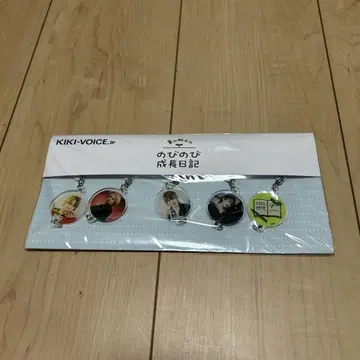 하야마 쇼타 이어지는 아크릴 참 세트
