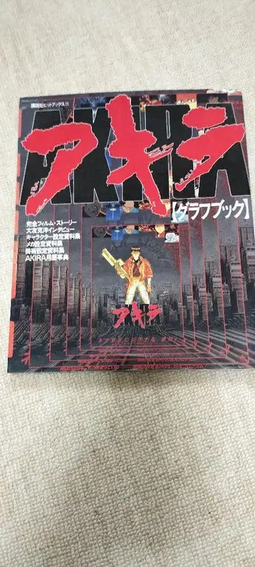 AKIRA 그래프북