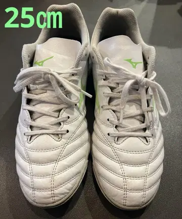 Mizuno Morelia Neo 트레이닝화 화이트/그린 25cm