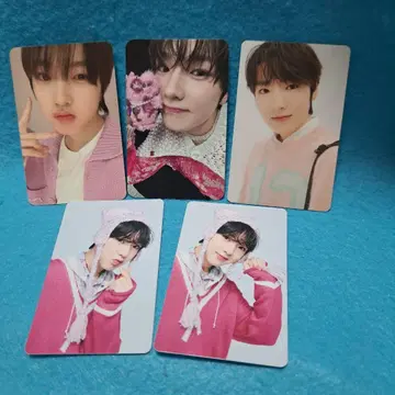 NCTWISH 사쿠야