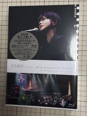 ZARD LIVE 2004 What a beautiful moment