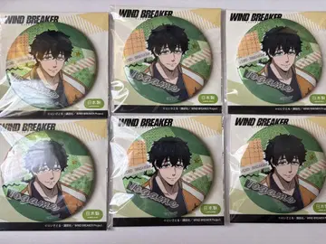 WIND BREAKER 토가메 죠 반짝반짝 캔뱃지 6개 세트