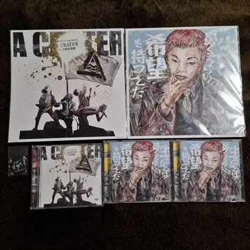 하루카미라이 CD 앨범 일본 무도관 DVD 특전 캔뱃지