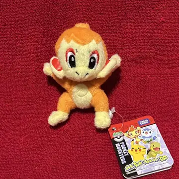 포켓몬 불꽃숭이 봉제 인형 키링 마스코트 포켓몬스터