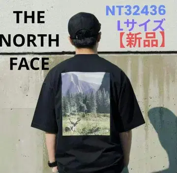 더 노스 페이스 T셔츠 NT32436 L 사이즈 블랙 미사용 새상품