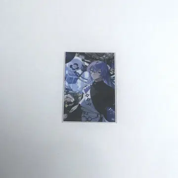 니지산지 노스탤지어 호시도 쇼
