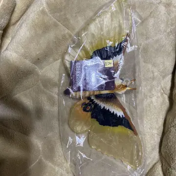 모스라 피규어 미사용