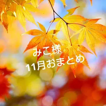 미코 님 11월 합계