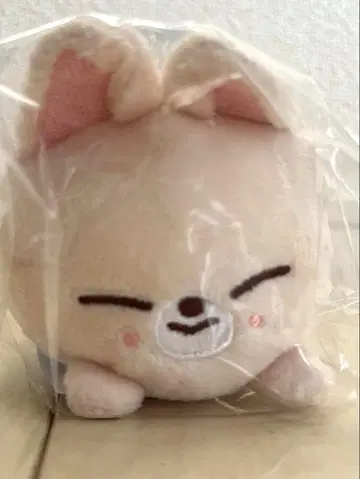 SKZOO FoxINy 아이엔 백참