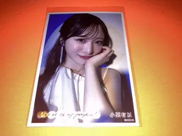 오구리 유이 AKB48 oh my pumpkin 세븐넷 특전 브로마이드